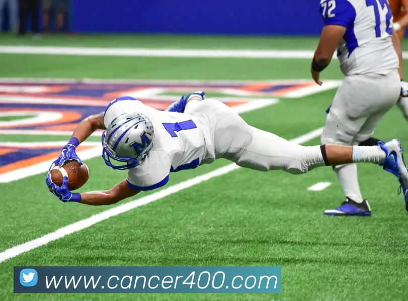 开云网页版在线登录app平台生态图