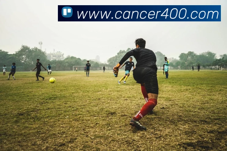 开云网页版在线登录app全站App 开云网页版在线登录app全站App